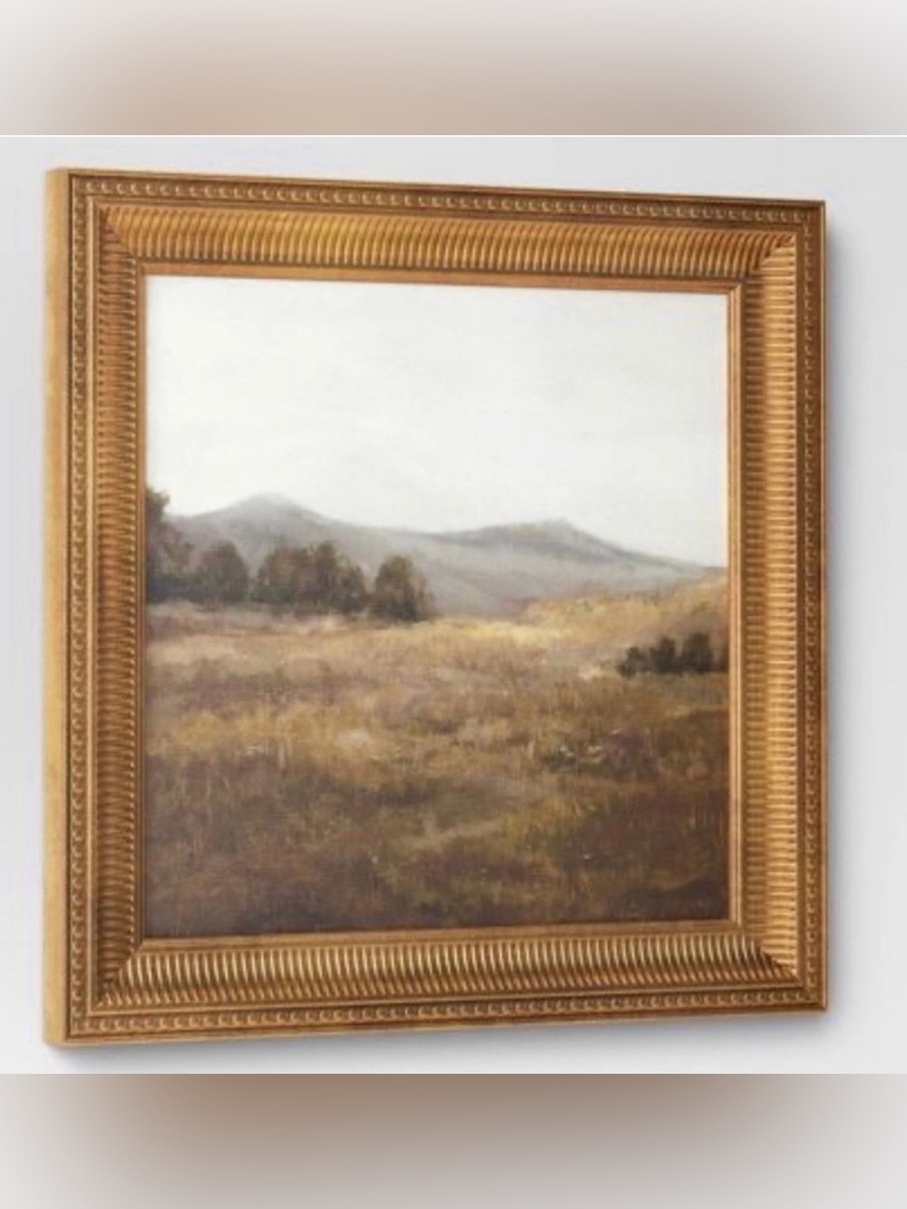 Threshold 12x12 Prairie Land Framed Canvas